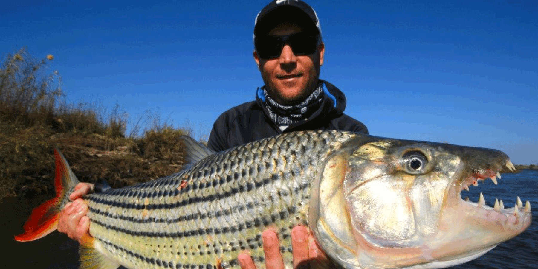 Tiger ffishing is a favourite pastime in Botswana