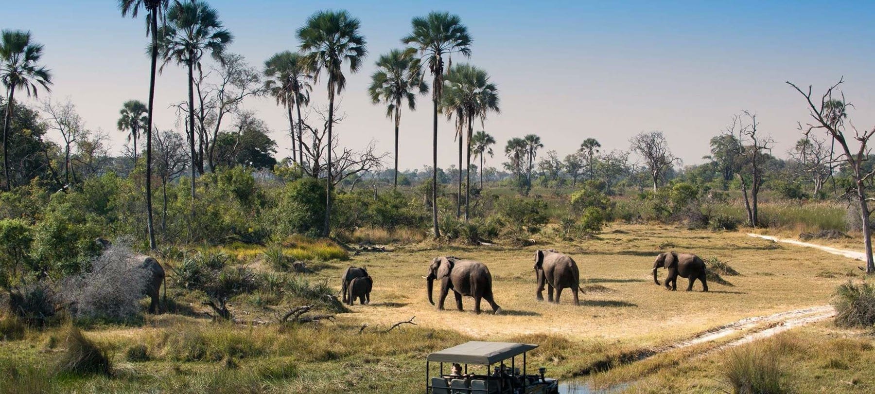 Nxai National Park is one oof Botswana's many drawcards