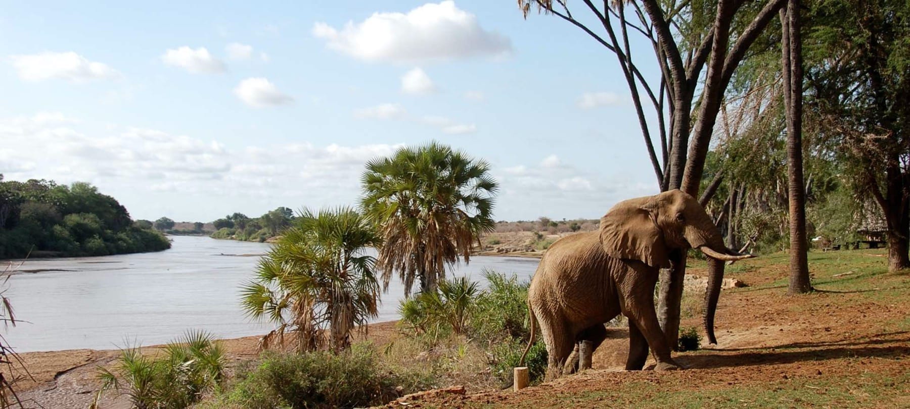 Tsavo West_Elephant_Kenya