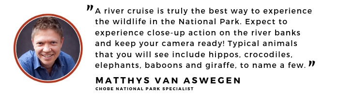 expert advice on a botswana safari