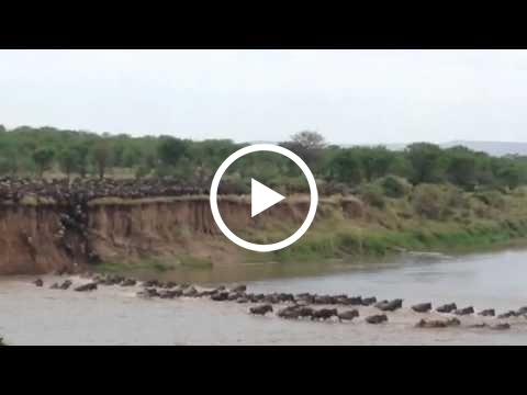wonderful-mara-river-crossing-at-crossing-point-three-on-the-serengeti-side