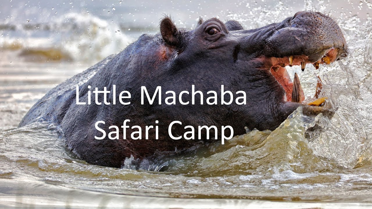 Little Machaba Luxury Safari Camp, Botswana