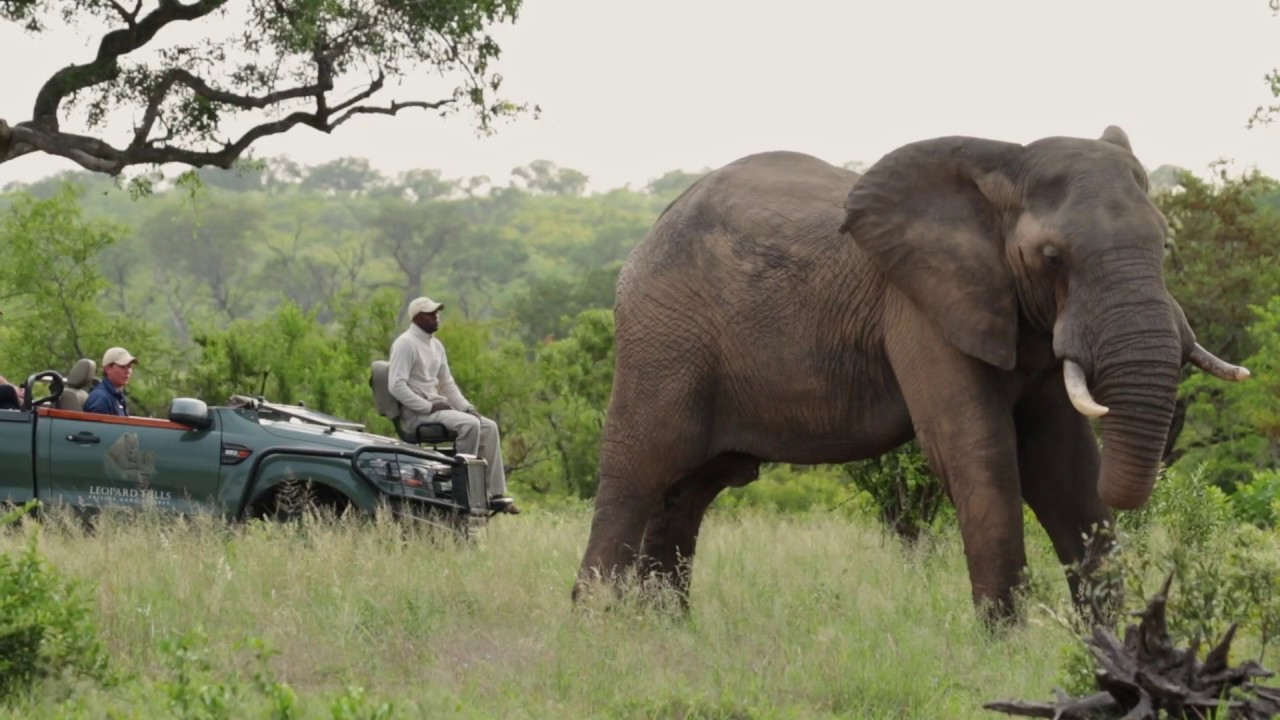 Leopard Hills | Sabi Sand Game Reserve