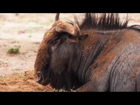 !Xaus Lodge - Kgalagadi Transfrontier Park