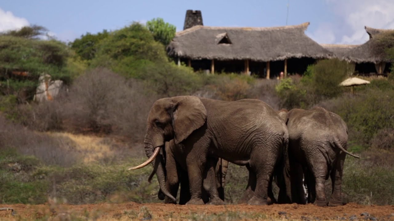 WELCOME ON SAFARI WITH US