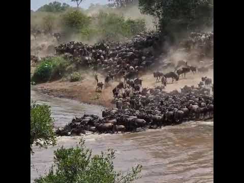 End of September 2021 river crossings