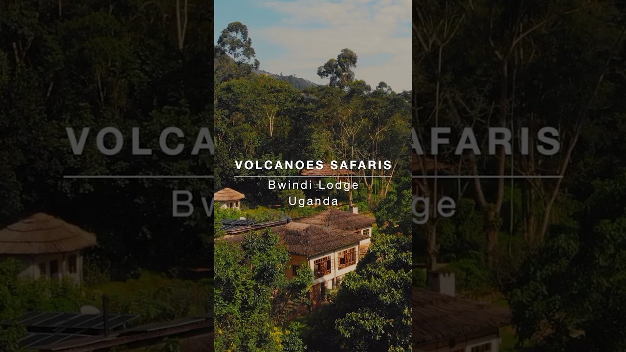Volcanoes Safaris Bwindi Lodge