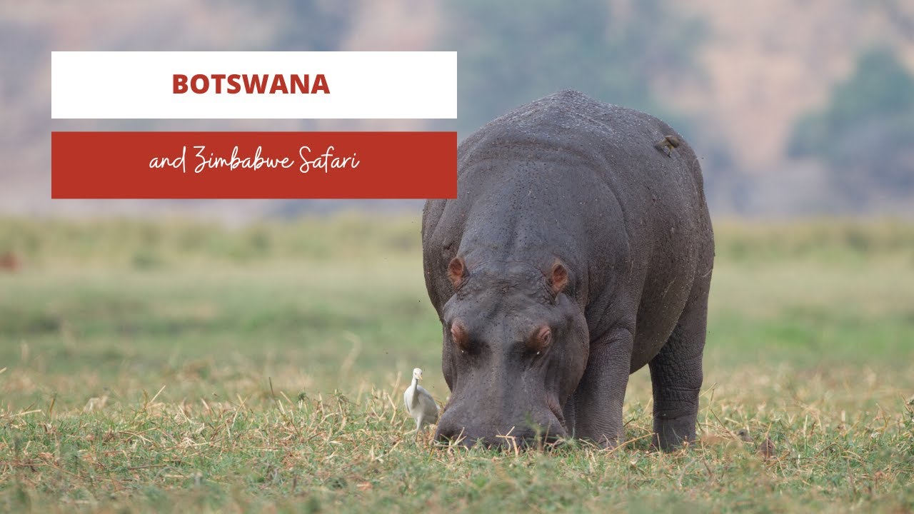 Botswana and Zimbabwe safari