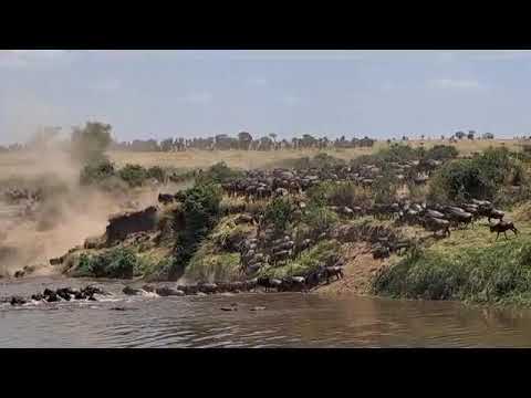 Another Mara river crossing at no 2