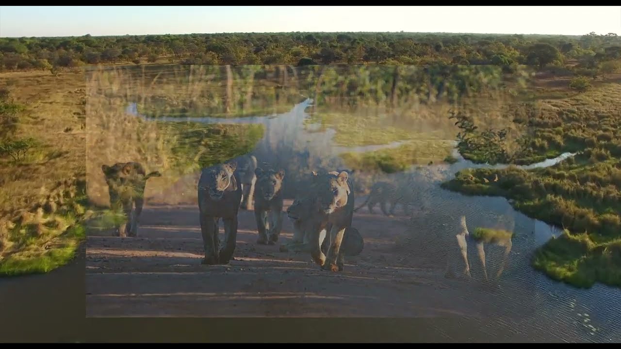 Mawimbi Bush Camp Aerial Video