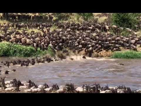 Mara River crossing at point number 0