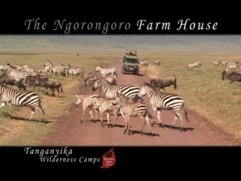 Ngorongoro Farm House