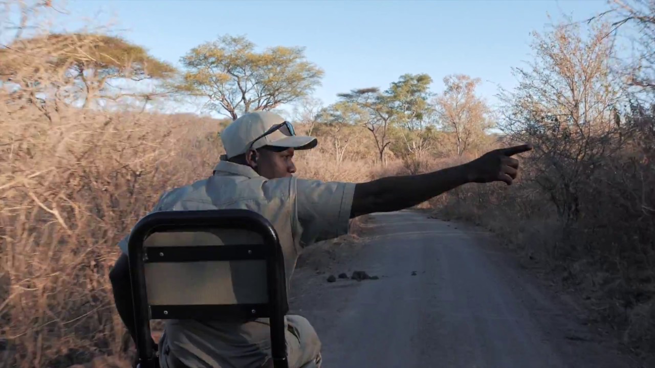 Matetsi Victoria Falls | A Day at our Luxury Safari Lodge in Zimbabwe