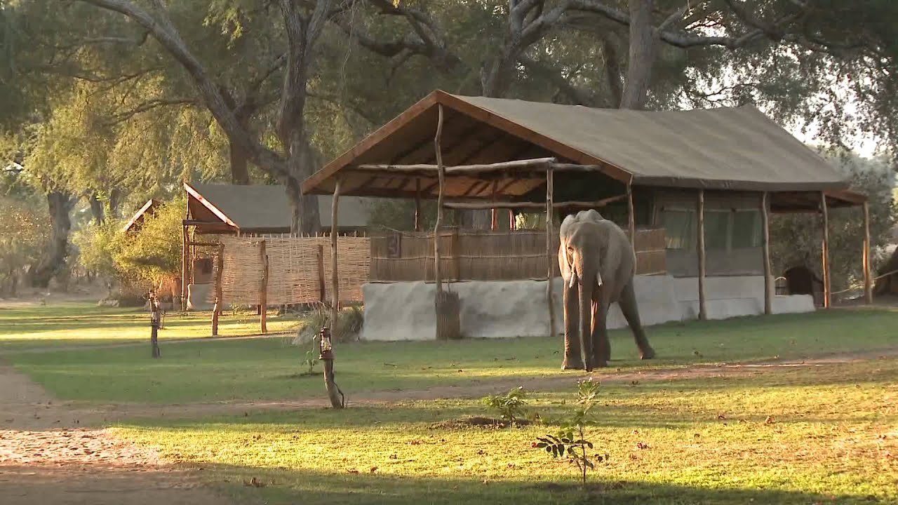 Chongwe River Camp
