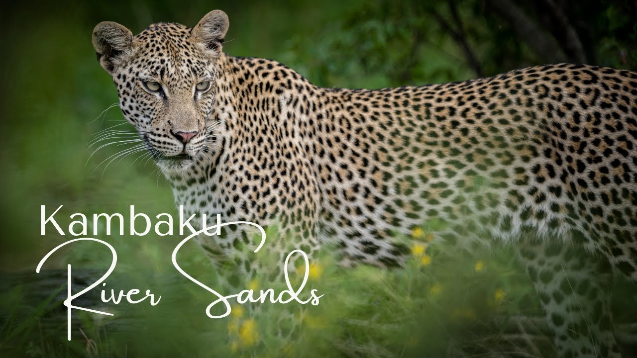 Kambaku River Sands - Arrive Expectant, Leave Enchanted