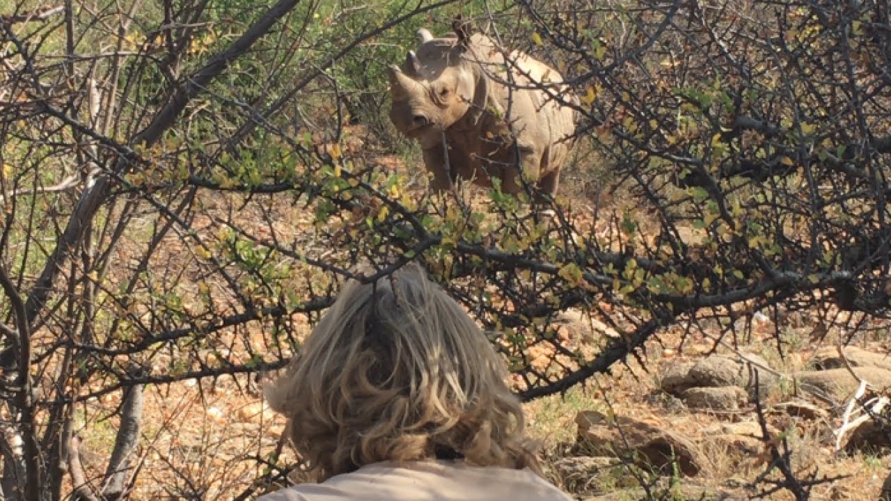 Saruni Rhino Camp & Black Rhino Tracking in Northern Kenya
