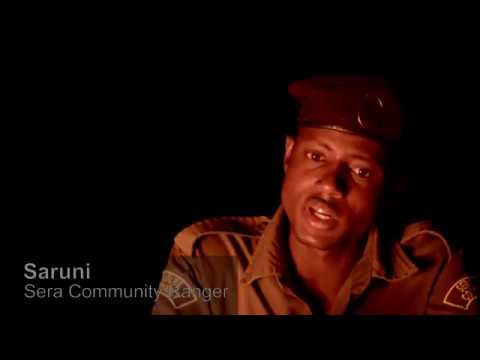 Rhino Tracking Training with Saruni Rhino in Sera Conservancy