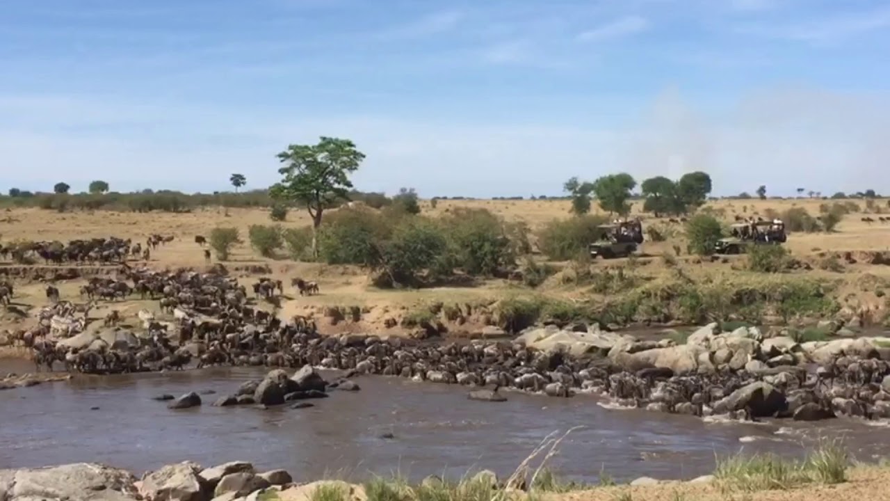October is a good time to see the wildebeest herds move back into the Serengeti