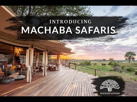 Machaba Safaris   Introduction