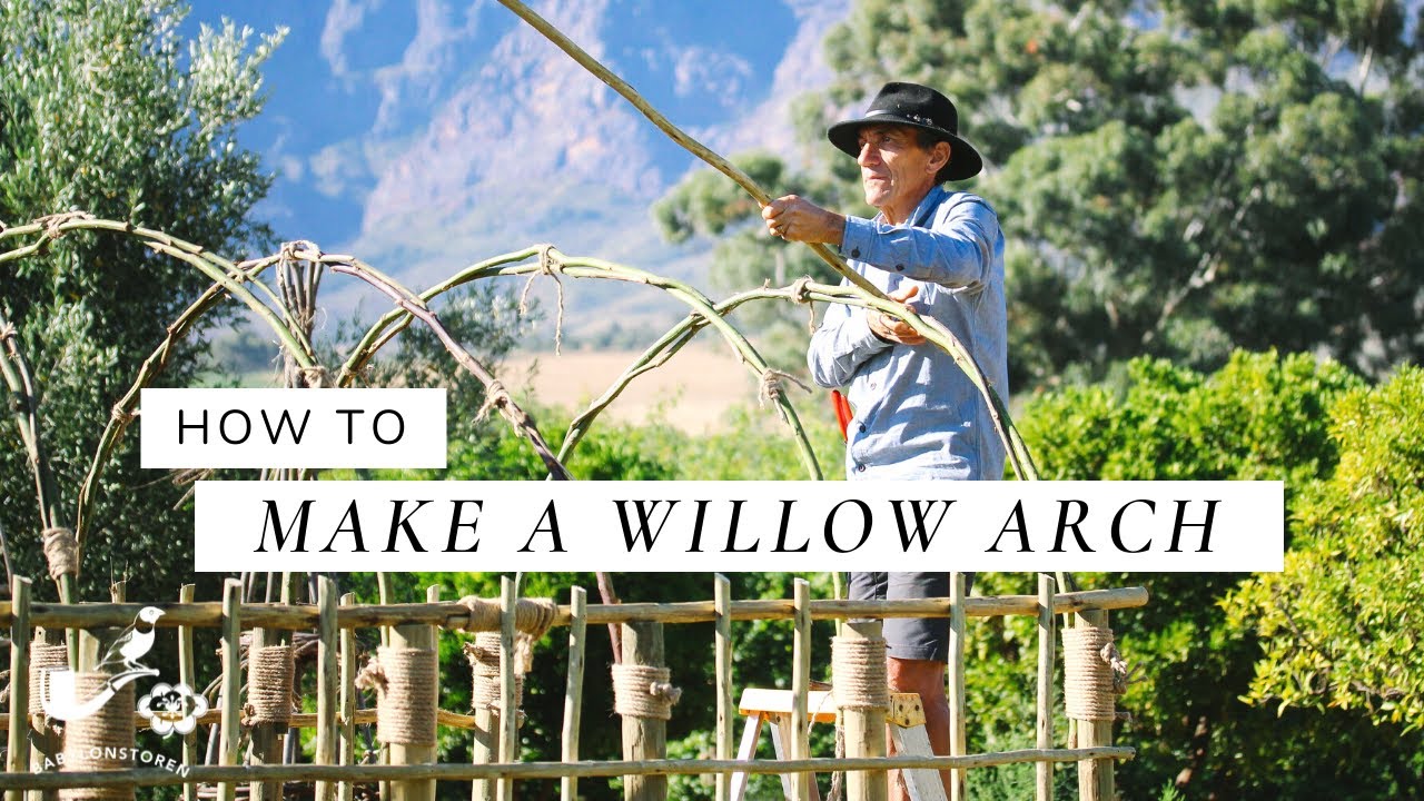 How To Make A Willow Arch For Climbing Veggies Or Roses | Babylonstoren Garden