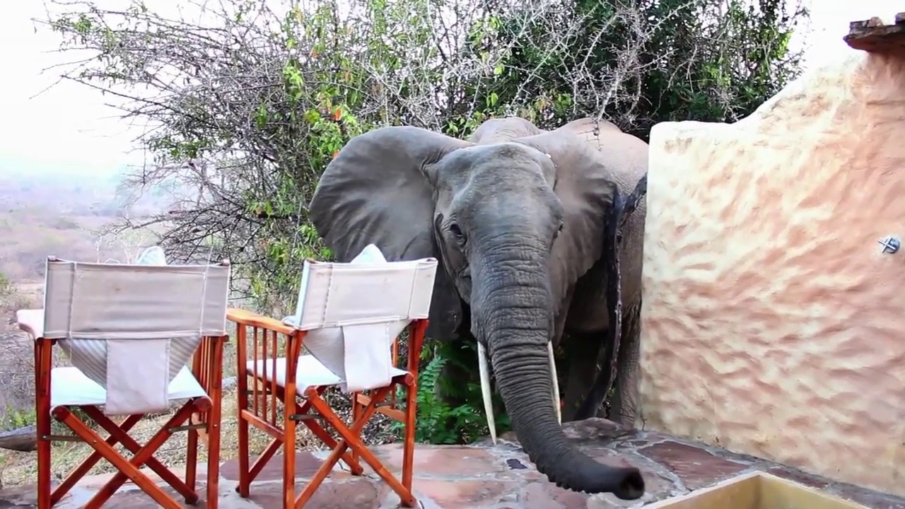 Nomad Tanzania's Sand Rivers Selous