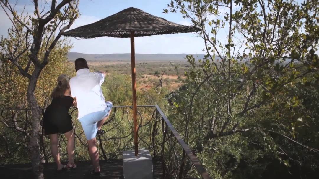 Welcome to Molori Safari