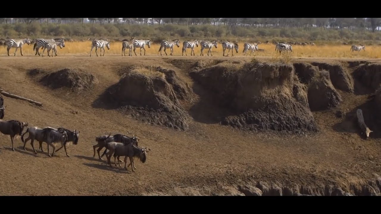 Migration River Crossings Safari with Governors' Camps