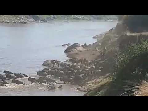 Mid September River crossings Part 2.