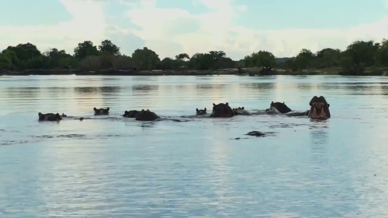 Quick and affordable Victoria Falls & Chobe experience