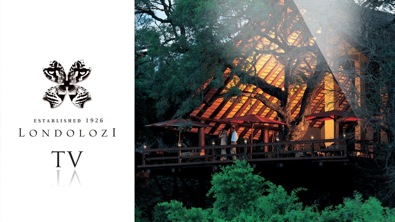 Londolozi Varty Camp - Londolozi TV