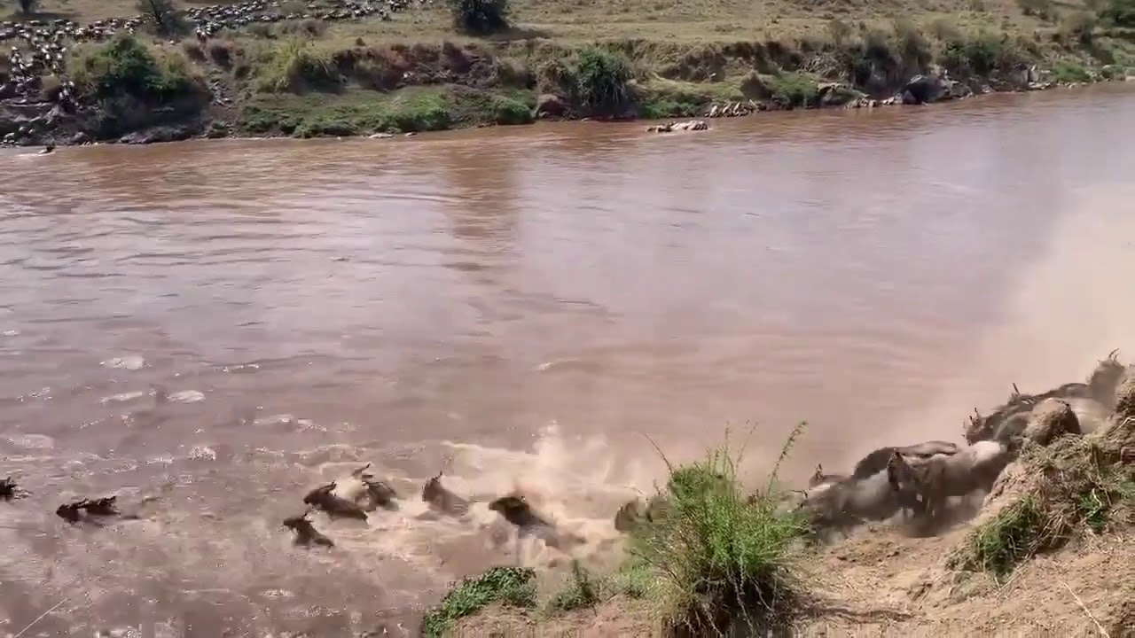 This is the best time to be in the Northern Serengeti!