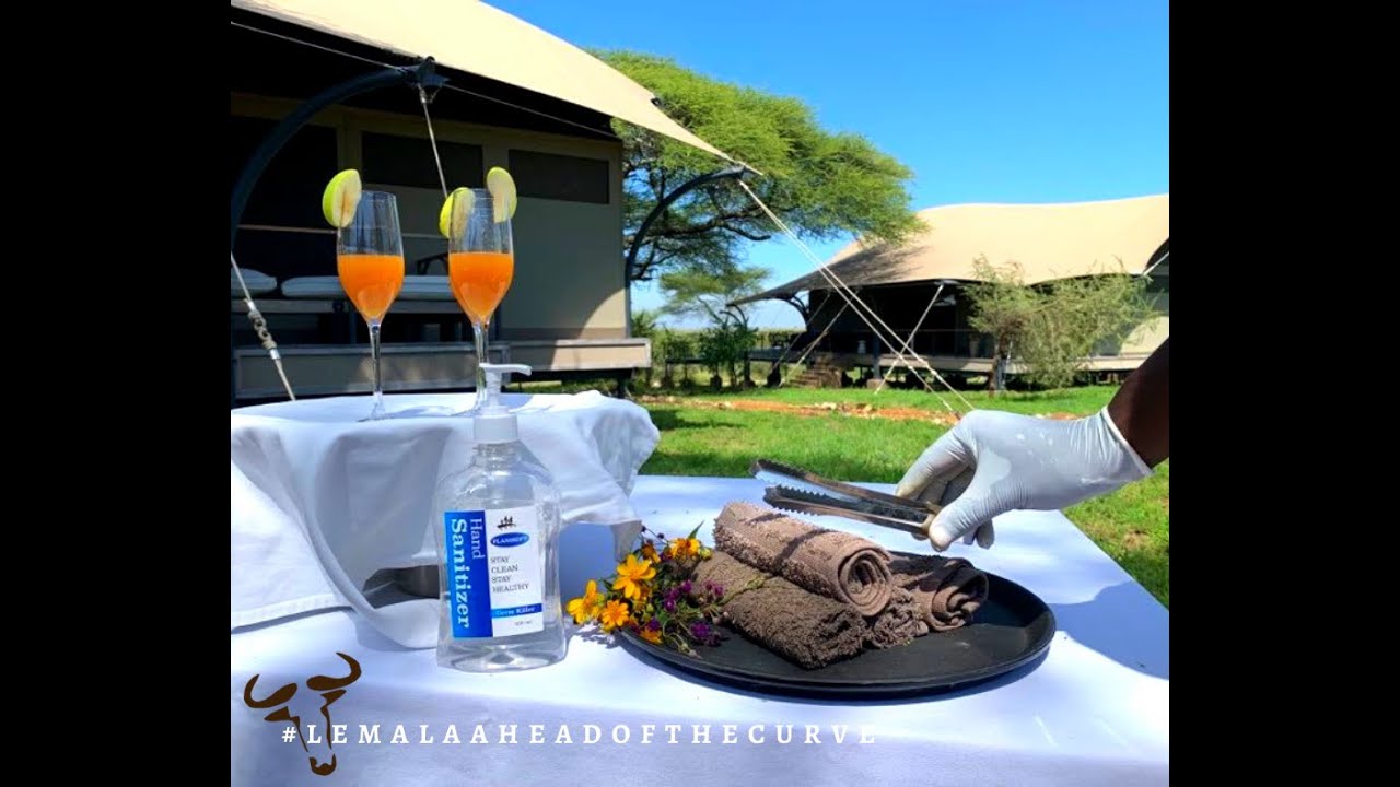 Lemala Camps and Lodges is ready for you.