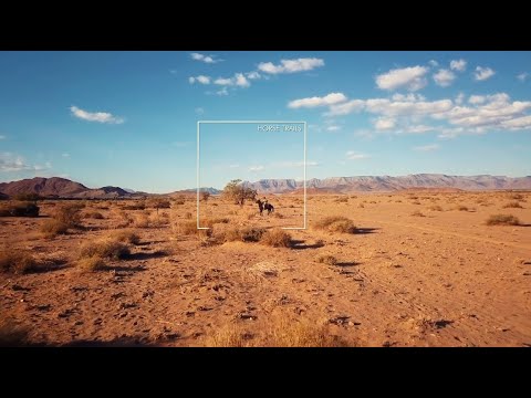 Desert Homestead Lodge - Horse Trails - Ondili Lodges