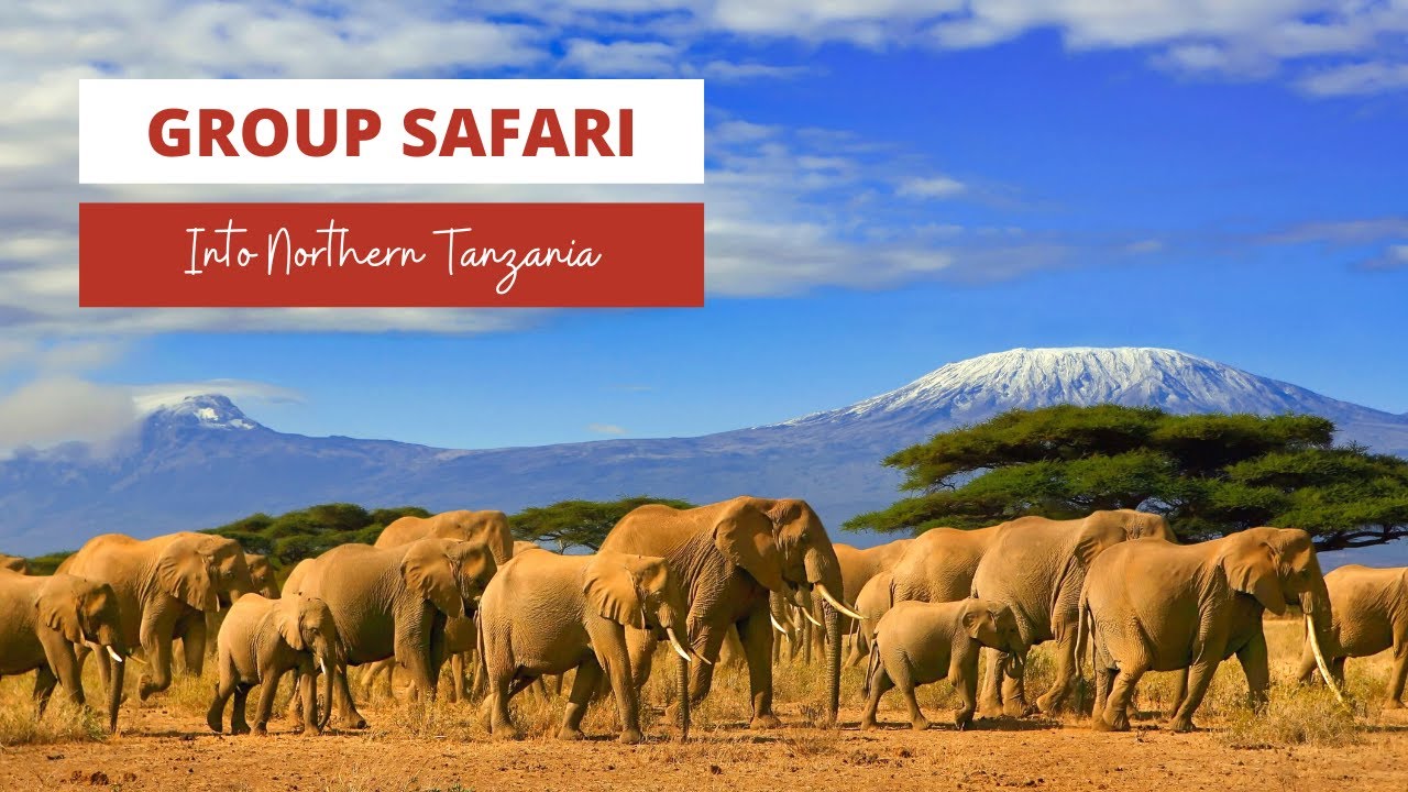 Group Safari Into Northern Tanzania. See Lake Burunge, the Ngorongoro Crater and much more