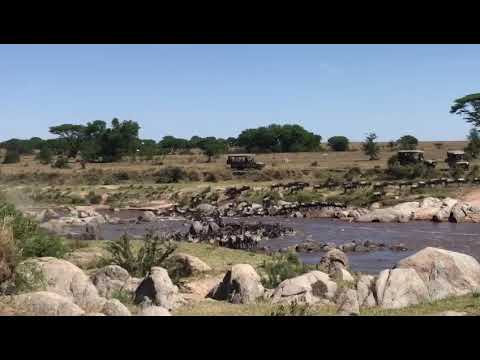 Huge crossing at point number 6 in the Mara River