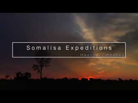 Somalisa Expeditions