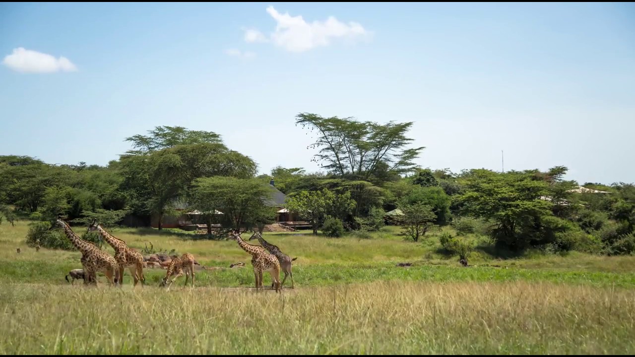 Best View in the Masai Mara
