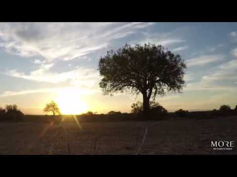 Lion Sands - Our Take On Sundowners
