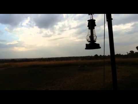 Heavy Rain in the Serengeti - HerdTracker 6 August 2015