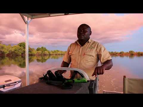 Ila Safari Lodge, the Pride of the Kafue