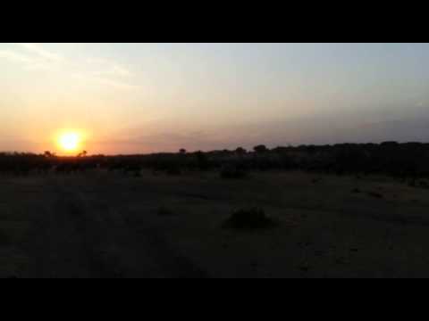 HerdTracker Wildebeest Migration Update - 28 May 2015