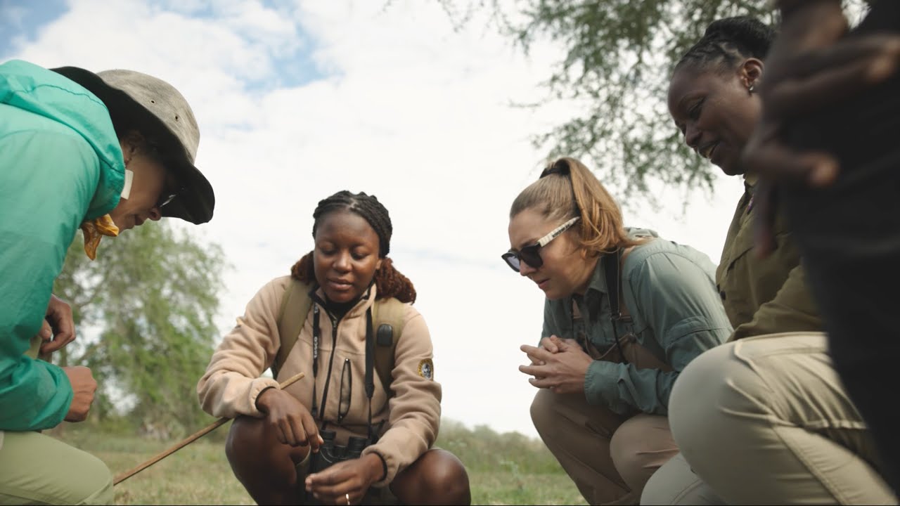 Gorongosa Safaris