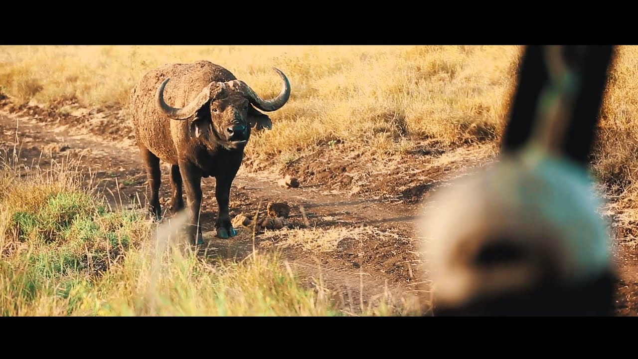 Lewa Safari Camp - Lewa Wildlife Conservancy, Kenya