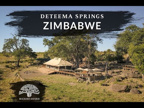 Machaba Safaris Camp   Deteema Springs