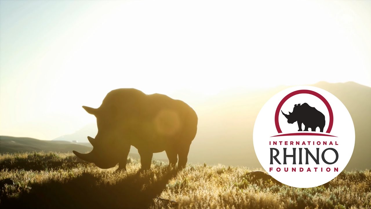 International Rhino Foundation - Protecting the World's Most Endangered Rhinos
