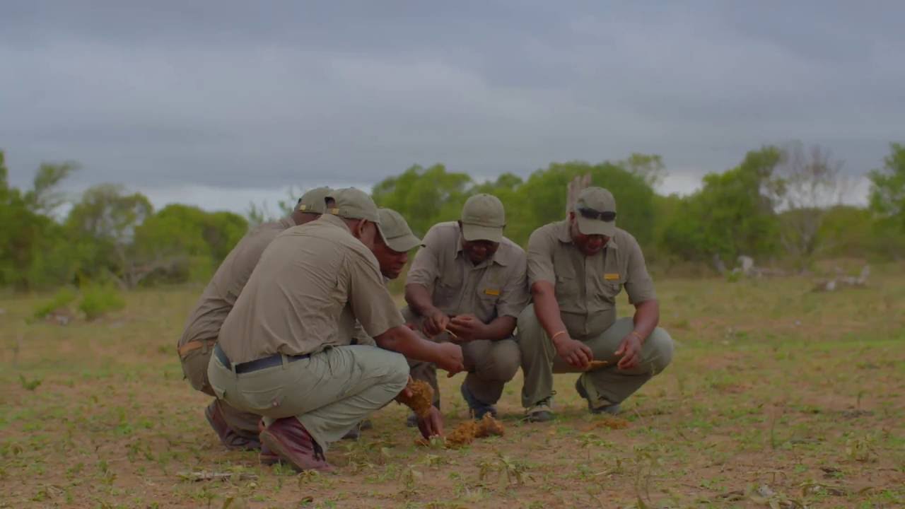 The Most Qualified Guiding Team in Africa