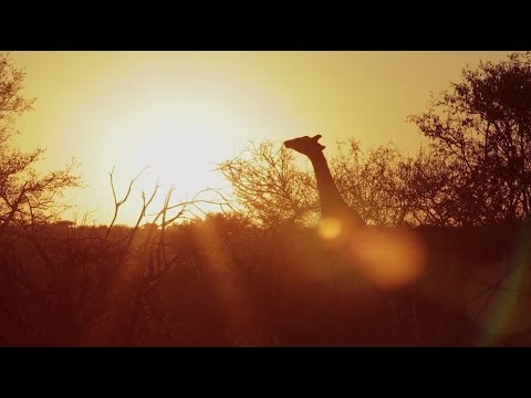 Luxury Safaris - Sanctuary Retreats Camps & Lodges Portfolio