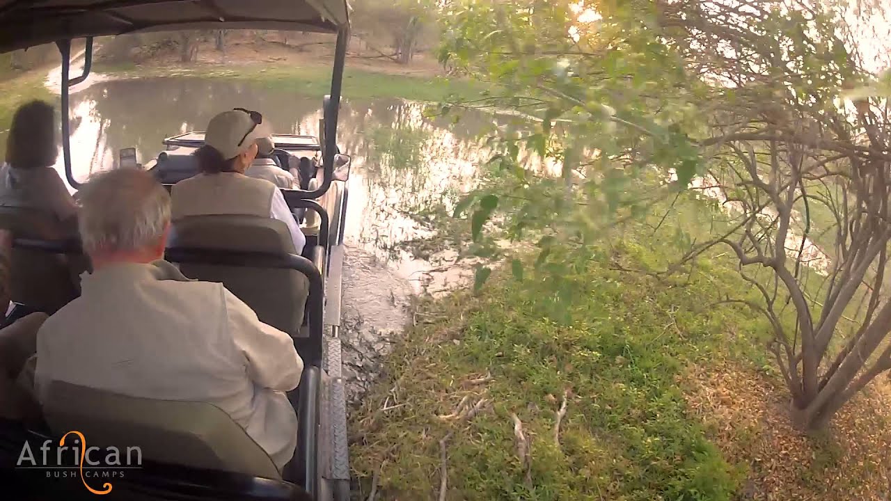 A day on safari with African Bush Camps