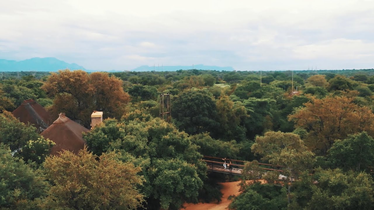 Step Inside Your Suite at Jabulani on a Soulful Safari