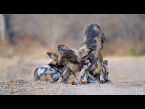 Time to Reawaken: TIME + TIDE Zambia